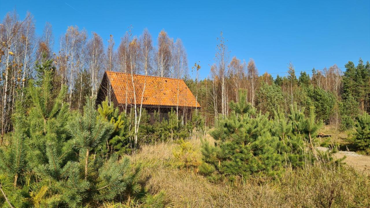 Zakole Czarnej Hanczy Tartaczysko Buitenkant foto