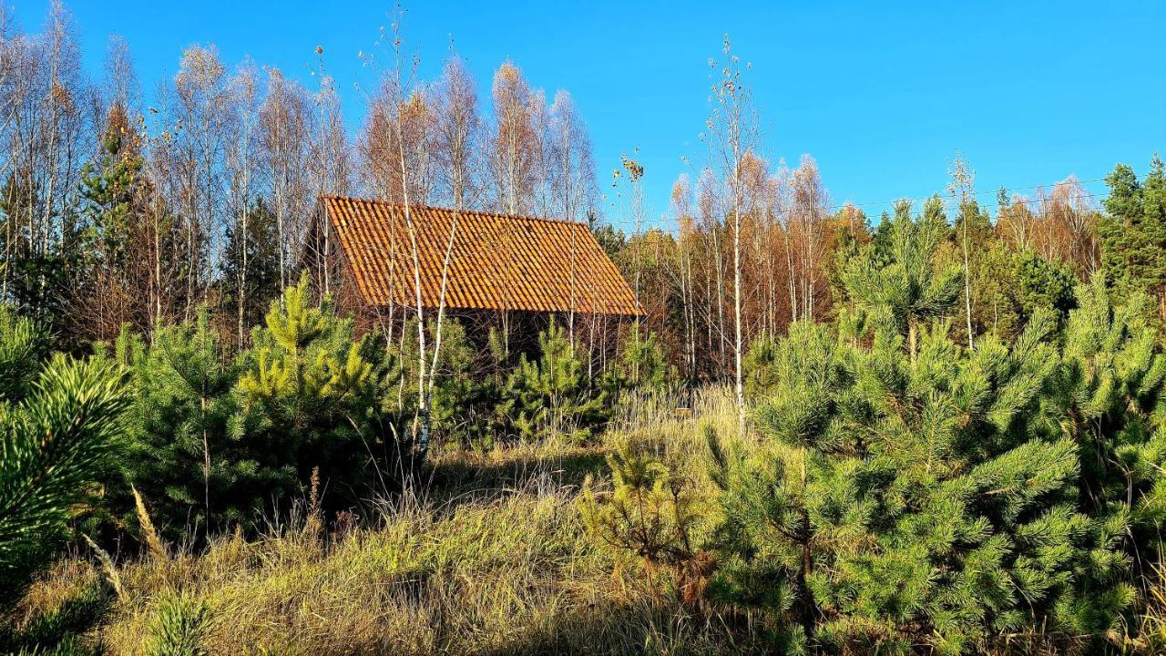 Zakole Czarnej Hanczy Tartaczysko Buitenkant foto
